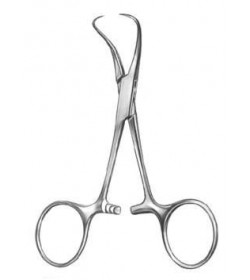Backhaus
